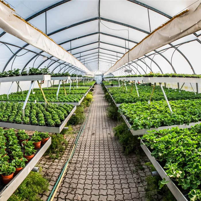 Gärtnerei Gärtnerei