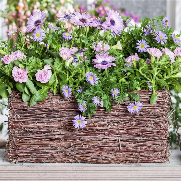 Frühling, Sommer, Herbst, Winter: der Balkon ist immer ein schöner Anblick