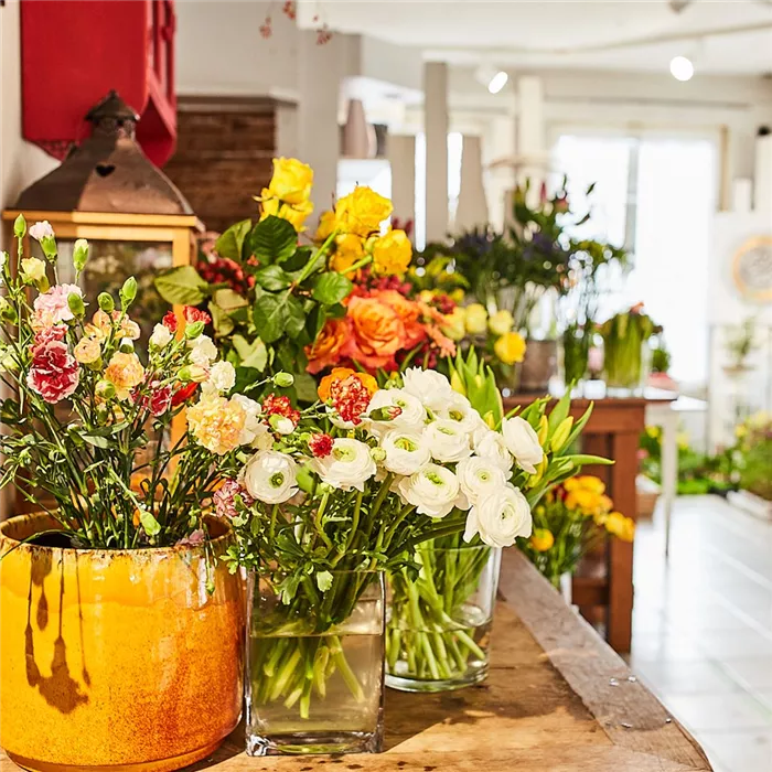 Schnittblumenanzucht Schnittblumenanzucht