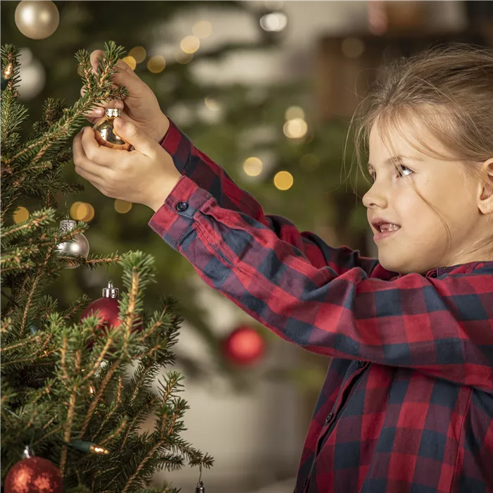 Weihnachtsbäume Weihnachtsbäume