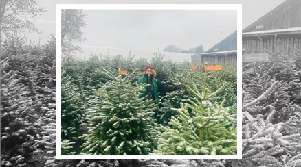 Christbaum_Gartencenter21.png