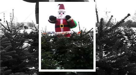 Christbaum_Weihnachtsmann_Neuried.png