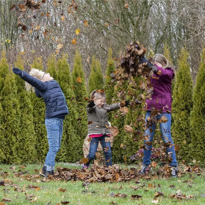 Spiel, Spaß und Sport: Der Garten als grünes Fitness-Studio